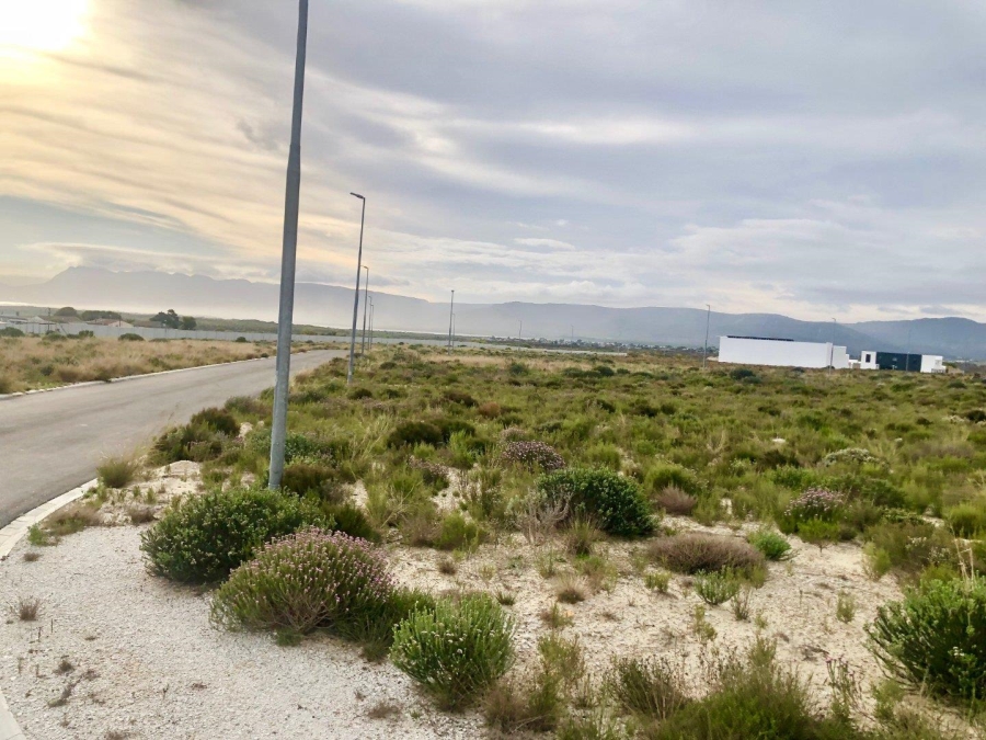 0 Bedroom Property for Sale in Hawston Western Cape